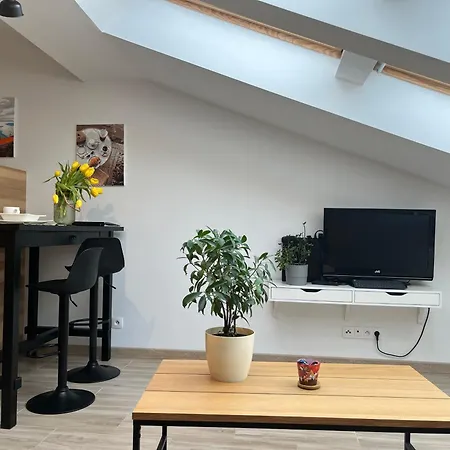 Feelhome With Kitchen Apartamento Cracovia