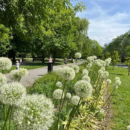 Feelhome With Kitchen Krakau