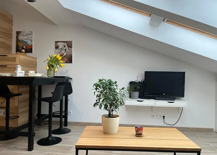 Feelhome With Kitchen Appartement Cracovie