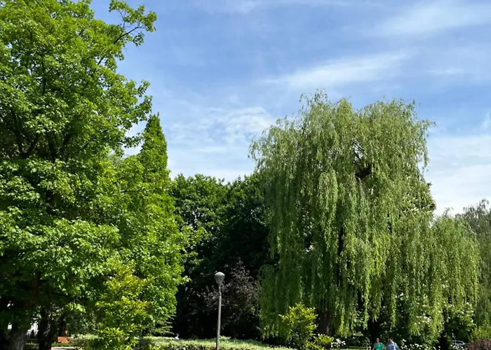 Appartement Feelhome With Kitchen Cracovie