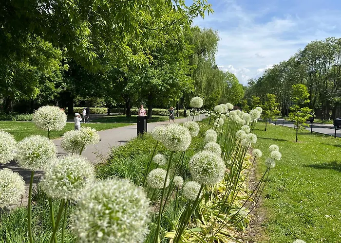 Feelhome With Kitchen Krakow